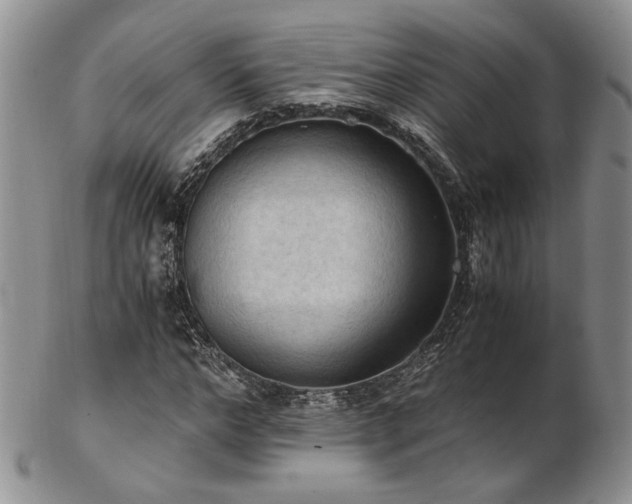 X0000103140968200808221212