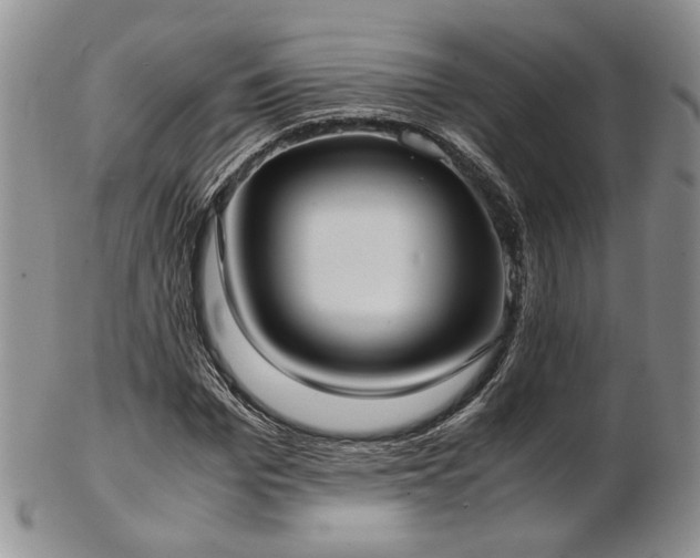 X0000103140969200808221212