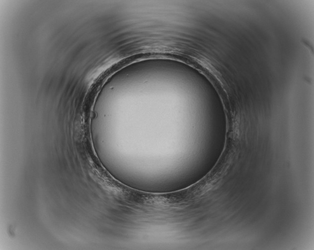 X0000103140971200808221212