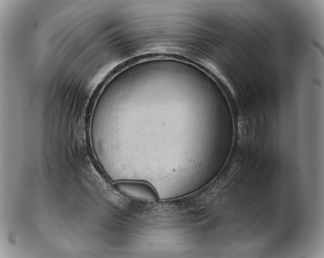 X0000103140972200808221212