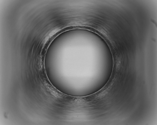 X0000103140974200808221212