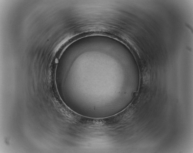 X0000103140975200808221212