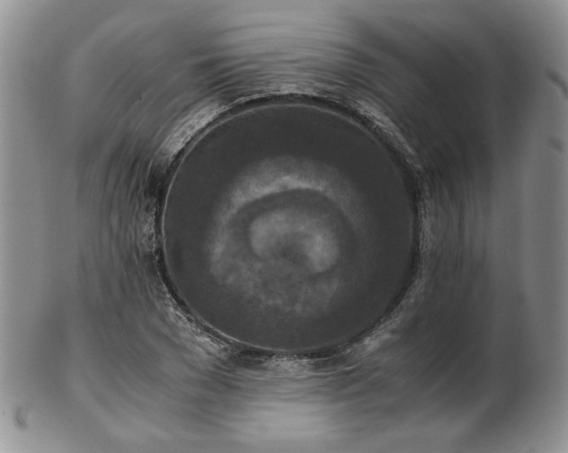 X0000103140977200808221212