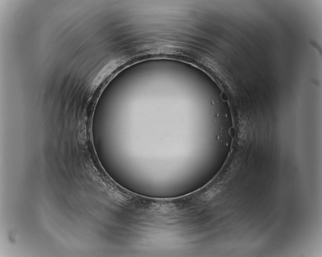 X0000103140978200808221212