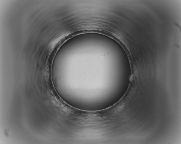 X0000103140979200808221212