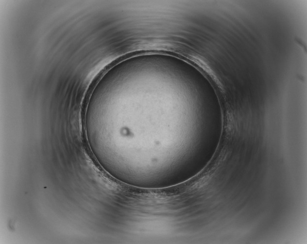 X0000103140980200808221212