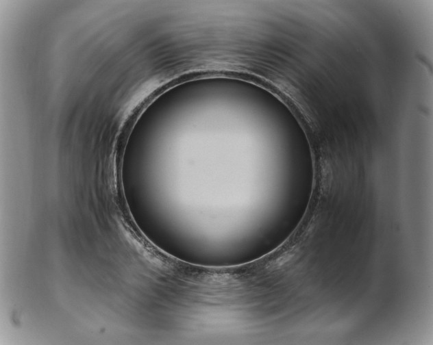 X0000103140982200808221212