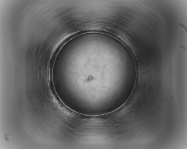 X0000103140984200808221212