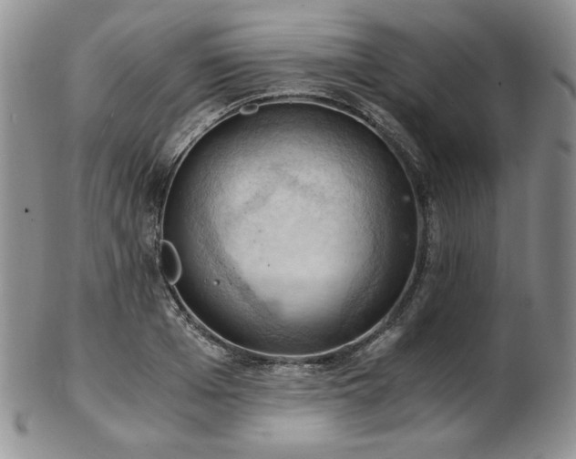 X0000103140985200808221212