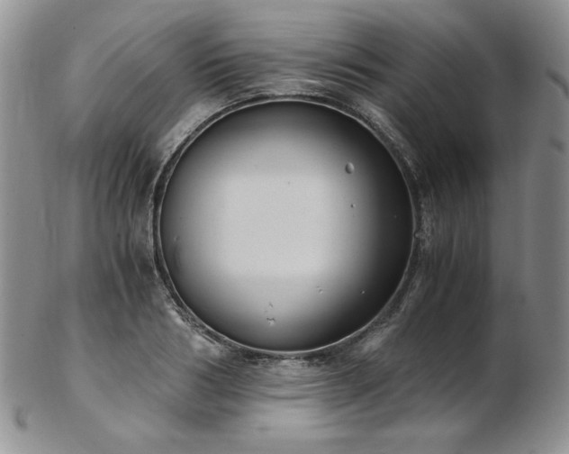 X0000103140986200808221212