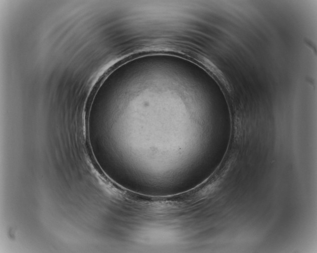 X0000103140988200808221212