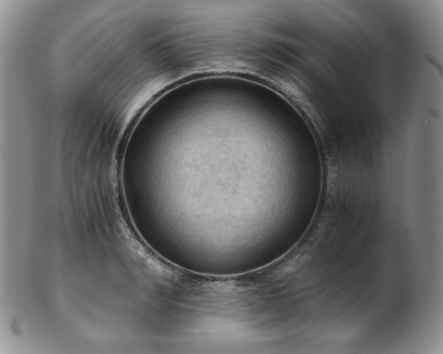 X0000103140990200808221212