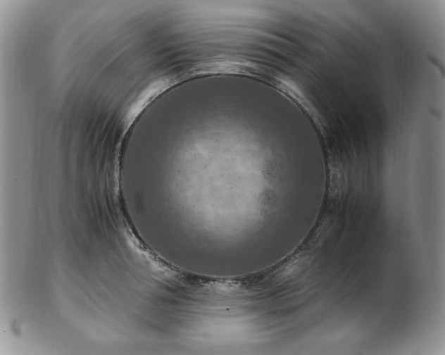 X0000103140994200808221212