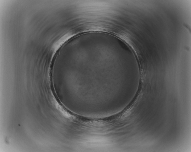 X0000103140995200808221212