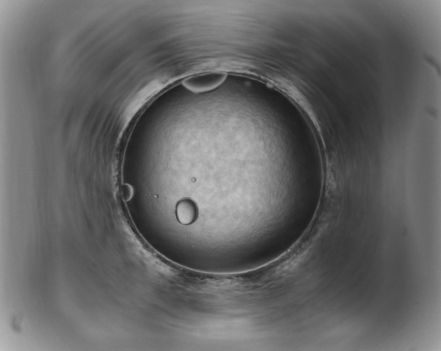 X0000103140997200808221212