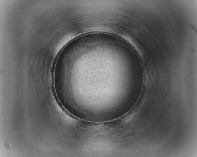 X0000103140999200808221212