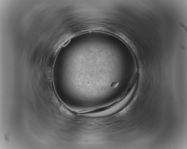 X0000103141001200808221212