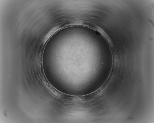 X0000103141002200808221212