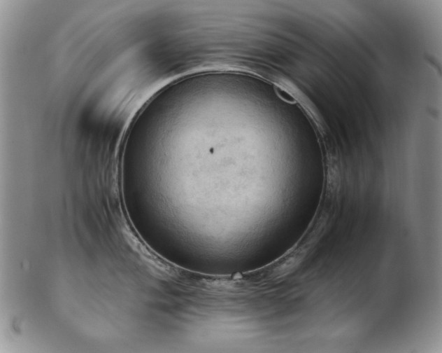 X0000103141004200808221212