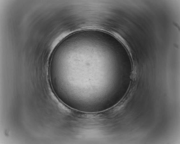 X0000103141005200808221212