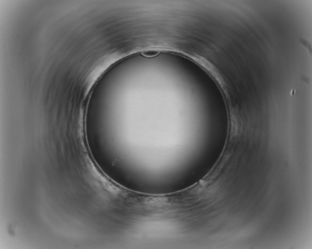 X0000103141006200808221212