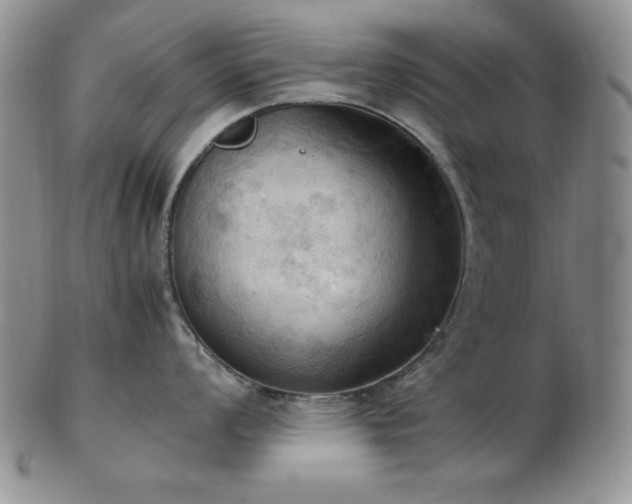 X0000103141008200808221212