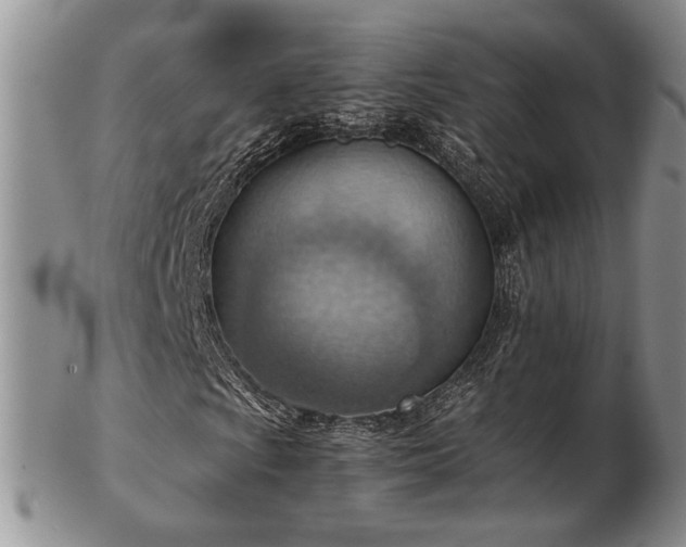 X0000103141009200808221211