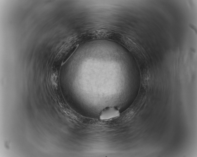 X0000103141010200808221211