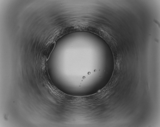 X0000103141012200808221211