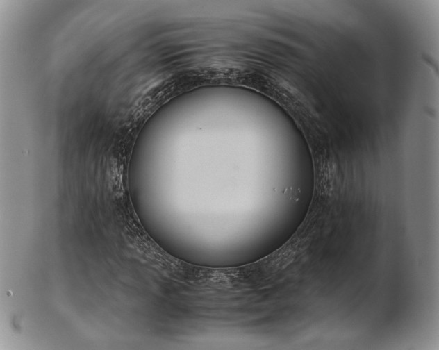 X0000103141013200808221211