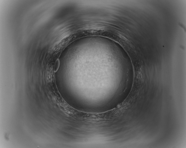 X0000103141014200808221211