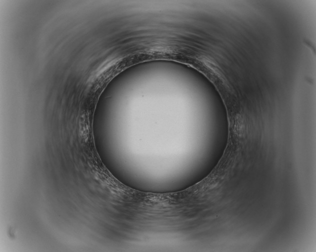 X0000103141015200808221211