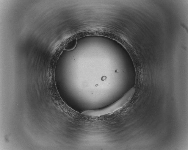 X0000103141016200808221211