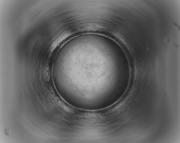 X0000103141018200808221211