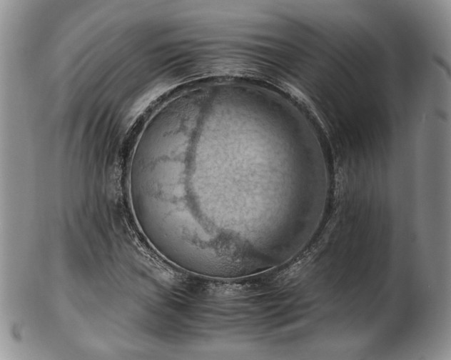 X0000103141019200808221211