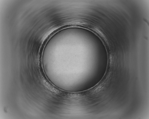 X0000103141020200808221211