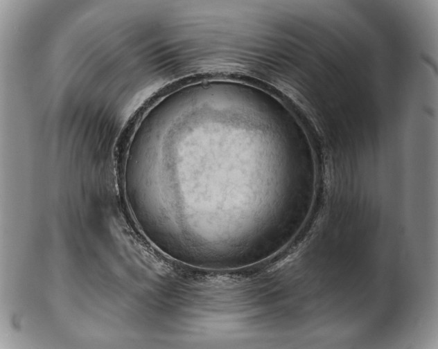 X0000103141022200808221211