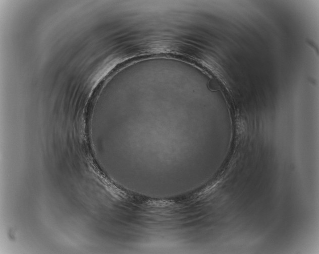 X0000103141023200808221211