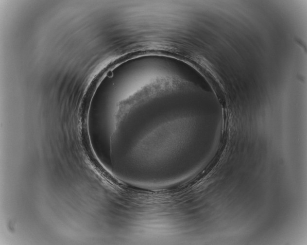 X0000103141024200808221211