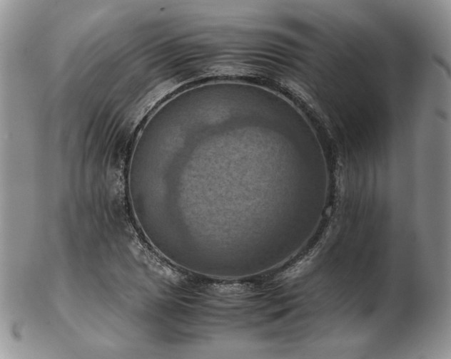 X0000103141025200808221211