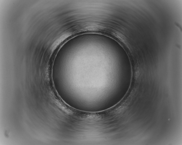 X0000103141026200808221211