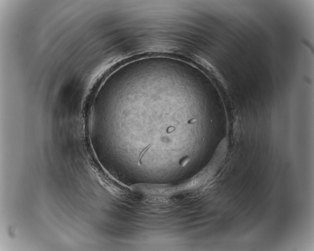 X0000103141027200808221211