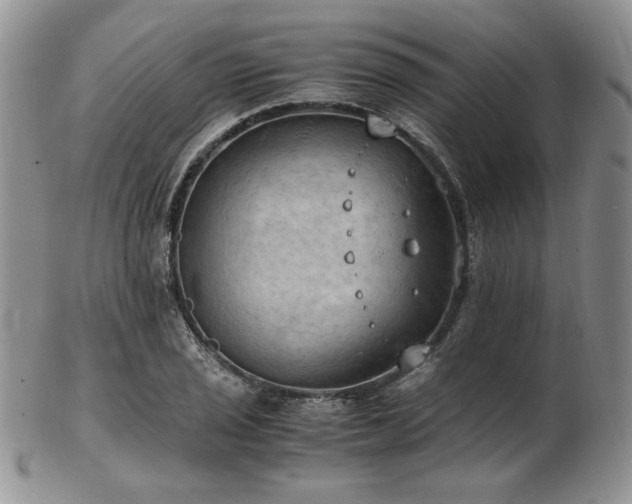 X0000103141029200808221211