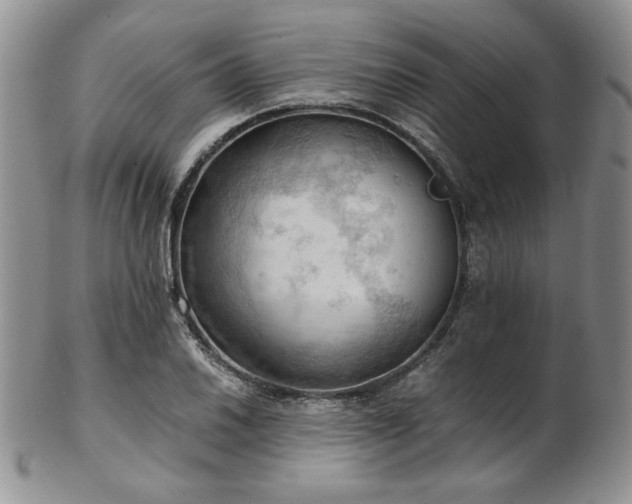 X0000103141030200808221211