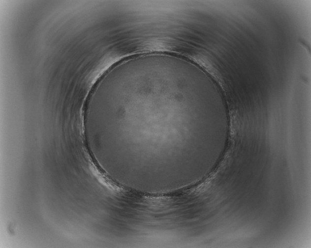 X0000103141031200808221211