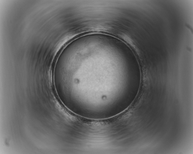 X0000103141032200808221211