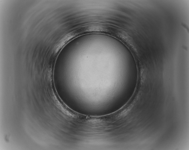 X0000103141033200808221211