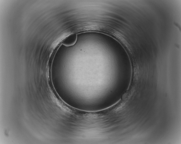 X0000103141034200808221211