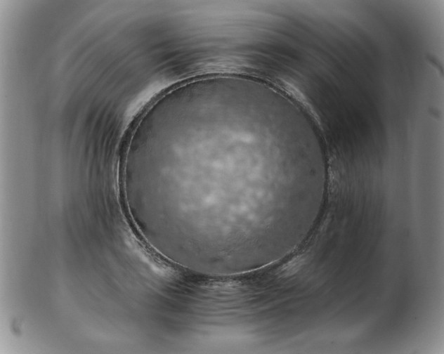 X0000103141035200808221211