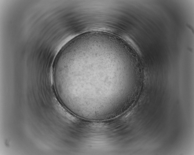 X0000103141036200808221211